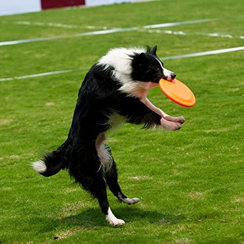 TEESUN Dog Frisbee Training Toys Flying Discs Flyer Silicone for Big Small Dogs Soft Tooth Resistant Rubber 6Pack (Red Blue Green Yellow Orange)